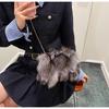 Осенью и зимой новая сумка для волос женская заколка для волос из лисы женская сумка текстура плечо через плечо облако сумка модная внешняя торговля женская сумка