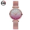 Women Watch Japanese Quartz Top Brand Luxury Waterproof Simple Casual Band Female