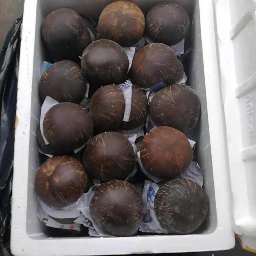 Экологичная миска из кокосовой скорлупы для десертов и закусок