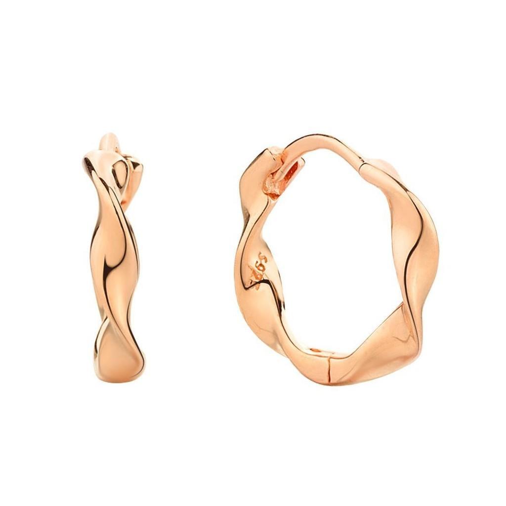 Ring Earrings 2pcs Round Ear Buckles And Personalized Exquisite Earring