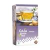 Зеленый чай с Имбирем (25 пак, 2 г), Green Tea Ginger,  Gaia
