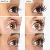 1PC popular Amazon curling slender eyelash primer non-smudging long-lasting styling mascara waterproof and lengthened