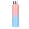 Water Bottle (1 Litre, Premium Stainless Steel, Sky-Blush) Bottle for Fridge, School, Outdoor, Gym, Home and Office