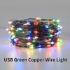 Christmas LED String Lights  Green Copper Wire Fairy Light Garland with USB Remote Control for Xmas Decoration