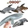 Игрушки-симуляторы морских животных: Акула-молот, Горбатый кит, Серый кит, Черепаха - Пластиковые фигурки для детей