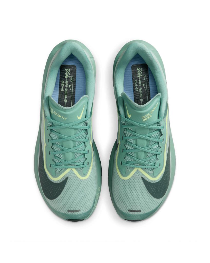 FN8454-003 Nike Zoom Fly 6 Cannon Light Silver Cobalt Bliss Seaweed (Мужской)