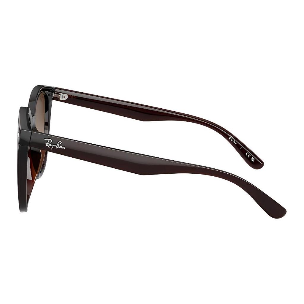 Ray-Ban Квадратные солнцезащитные очки с логотипом бренда Унисекс Пара Коричневые