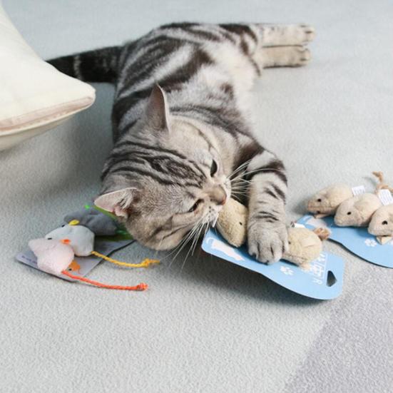 3 шт., кошка, котенок, играющий в плюшевую имитацию крысы, мыши, жевательная игрушка для царапин, укусов