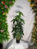 Cross-Border Traveler's Palm: Artificial Banana Tree for Living Room Window Corner Decoration