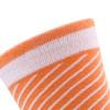 Funny Sushi Socks Set Salmon Egg Cucumber Sushi Socks Colorful Pizza Burger Socks Birthday Gift Stocking Stuffers for Men Women Teens