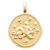 [Q8171] — Позолоченный кулон «Водолей» — 16 мм