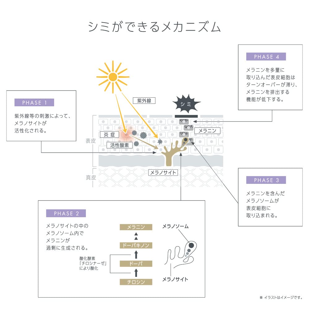 TBC PRENITY White Cream EX 60g Whitening (Medicated Cream) [Quasi-drug]