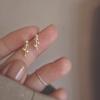 Rose Stud Earrings Women's French Retro Mini Small Three-dimensional Flower Earrings Temperament Simple Flower Branch Earrings