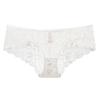 DKGEA Lace Panties Sexy Transparent Low-Rise Women Plus Size Briefs