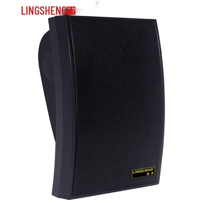 Lingsheng WS-570 Wall-Mounted PA Speaker CN plug (adapter included)