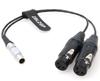 ZBLZGP Audio Breakout Input To Dual XLR Female for Atomos Shogun Flame Monitor Recorder Plug Cable, 10-Pin 3-Pin (Straight Cable)