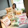 A Large Bag of Cat Rabbit and Pig Snacks Throw Pillows Plush Toys Doll Soft Stuffed Animal Gifts for Kids and Girls