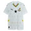 Puma Футболка мужская Sfs 2025 Africa Cup Gana Home Fan Version, удобная и универсальная, с коротким рукавом, цвет белый, с желтым животом 777192-01
