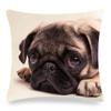 Cute Pet Pug Dog Digital Printing Short Plush Pillow Covers Decorative For Car Sofa Office Cushion Cover Home Goods 60X60Cm