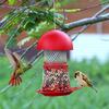 Кормушка для птиц Белка Железо Погода Кормушка для птиц для Сад Двор Украшение Зяблик Лазурная птица
