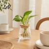 Durable PET Hydroponic Container Planter with Lid Glass-Like Clear Plant Propagation Station Desktop Pothos Water Culture Vase Flower for Cuttings,