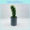 Synthetic Cactus Bonsai Plastic For Office Desk And Indoor Decor