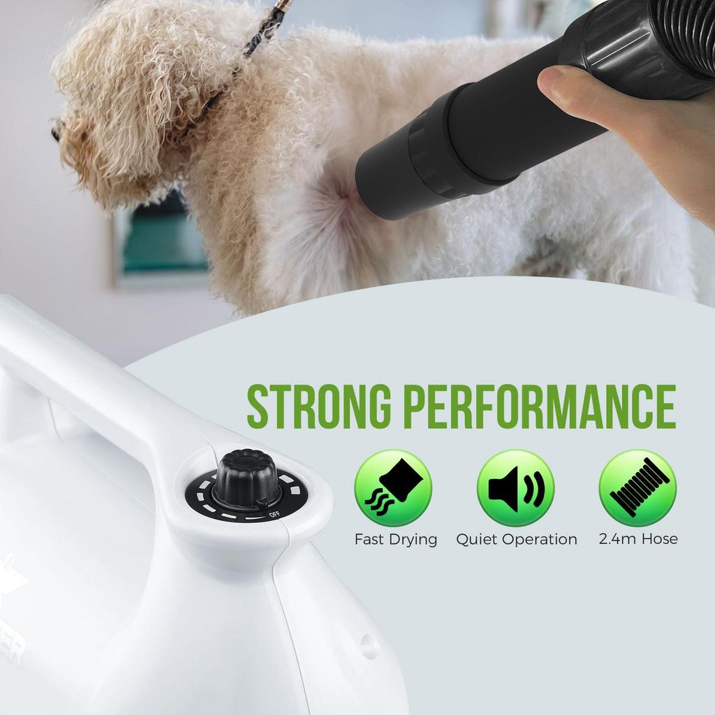 XPOWER B-163 Малошумный фен для домашних животных Комплект фена для шерсти домашних животных Горячий прибор Ленточный вентилятор Вилка ЕС