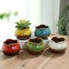 Flower Pot Vibrant Color Smooth Edge Shatterproof Drain Hole Design Thickened Decorative Exquisite Succulent Flower Pot