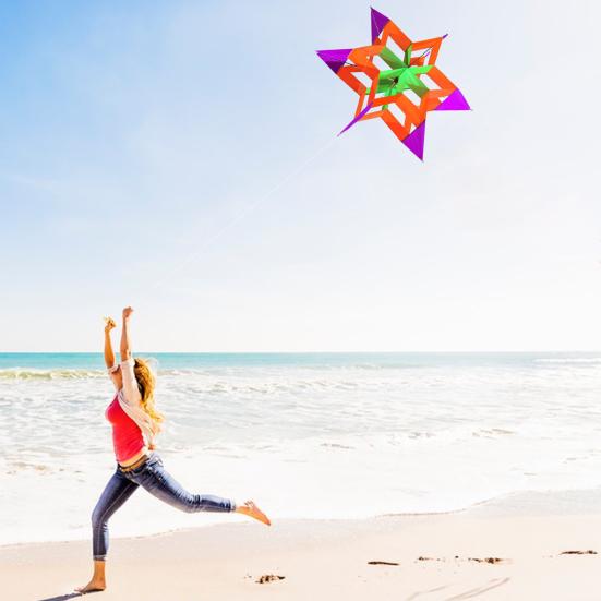 3D Lotus Kite Легко управлять Сверхпрочный открытый пляж парк газон дети взрослые игрушка воздушный змей семья малышей мальчики девочки начинающие красочный летающий змей