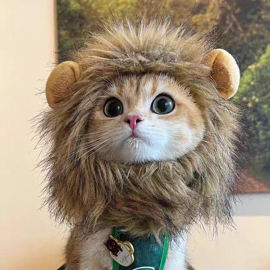 Украшение для питомца головной убор плюшевый щенок собака кошка милее чем медведь фото головной убор смешной