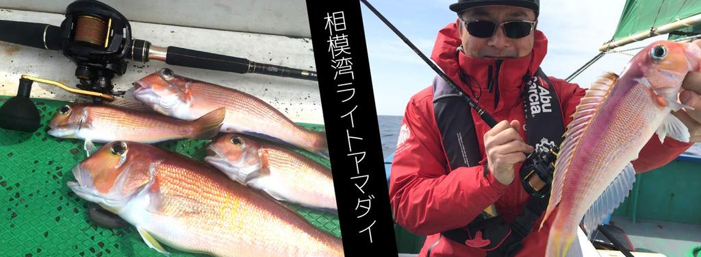 AbuGarcia KUROFUNE PH Left Hand Boat Fishing Small Boat Fishing Power Handle Double Shaft Reel (Kurofune LT)