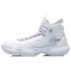 Баскетбольные кроссовки Li Ning Wow Shadow 2 унисекс белые ABPR005-6