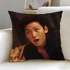 Популярная наволочка Jji Chang Wookable Cushion Cover Мягкая Легко стирающаяся Универсальная для дивана кровати путешествий и офиса