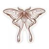 Something Different Luna Moth Trinket Dish