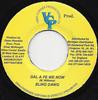 7-дюймовая пластинка BLING DAWG - Gal A Fe We Now NONE Vibes Corner Pr 2001 Ямайка Регги, Ска и Даб Б/У