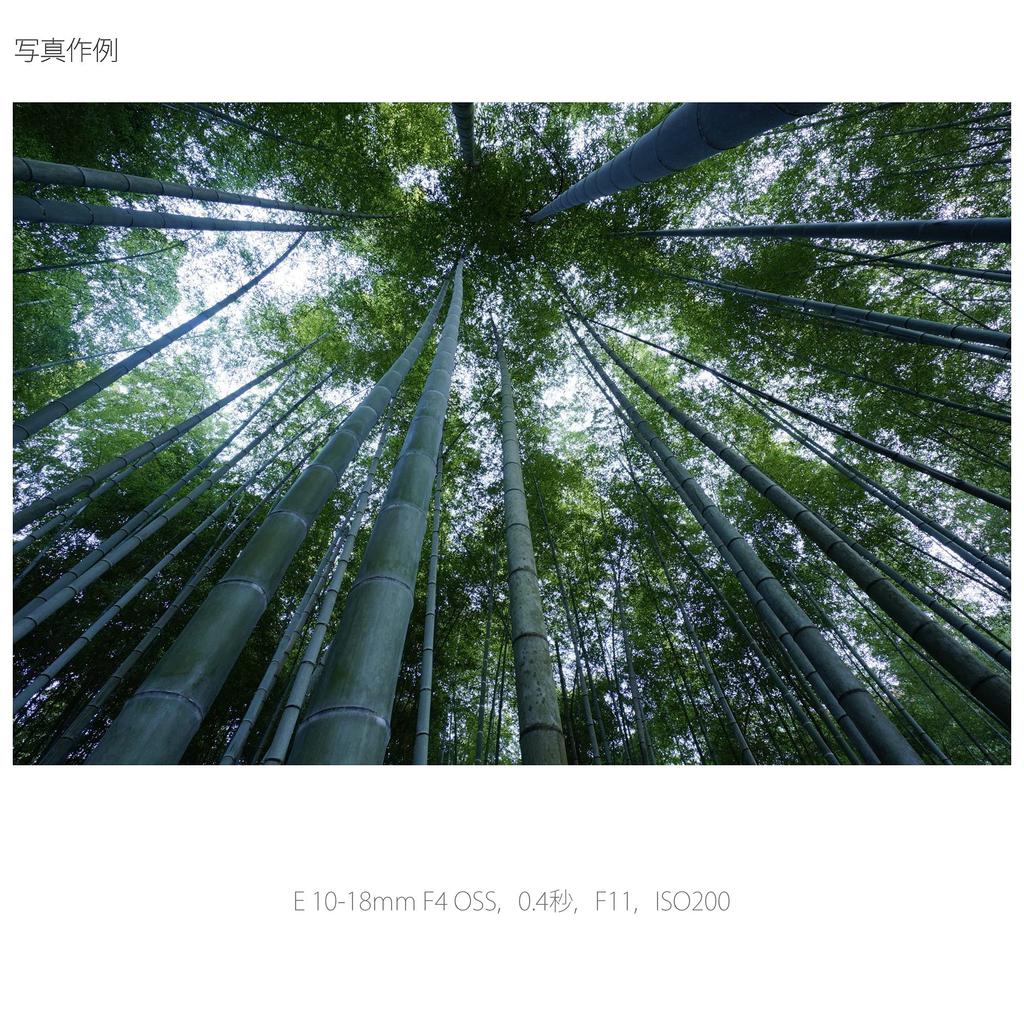 Sony Zoom Lens E F4 OSS for Sony E Mount Exclusive SEL1018 Wide-angle 10-18mm APS-C