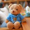 Teddy Bear Plush Toy Cute Bear Doll Child Hug Bear Doll Girl Best Friend Birthday Gift Doll