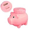 Money Box In the Shape of a Pig with Coin Counter