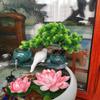 Pine Tree Bonsai Tabletop Display - Small Artificial Indoor Plant for Living Room Decor