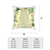 St. Patrick's Day Breastplate Prayer Throw Pillow Cover Decorative Pillow Irish Saint Paddys Shamrock Leprechaun Pillowcase