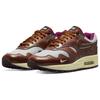 Новые Nike Air Max 1 Patta The Next Wave Dark Russett DO9549-200