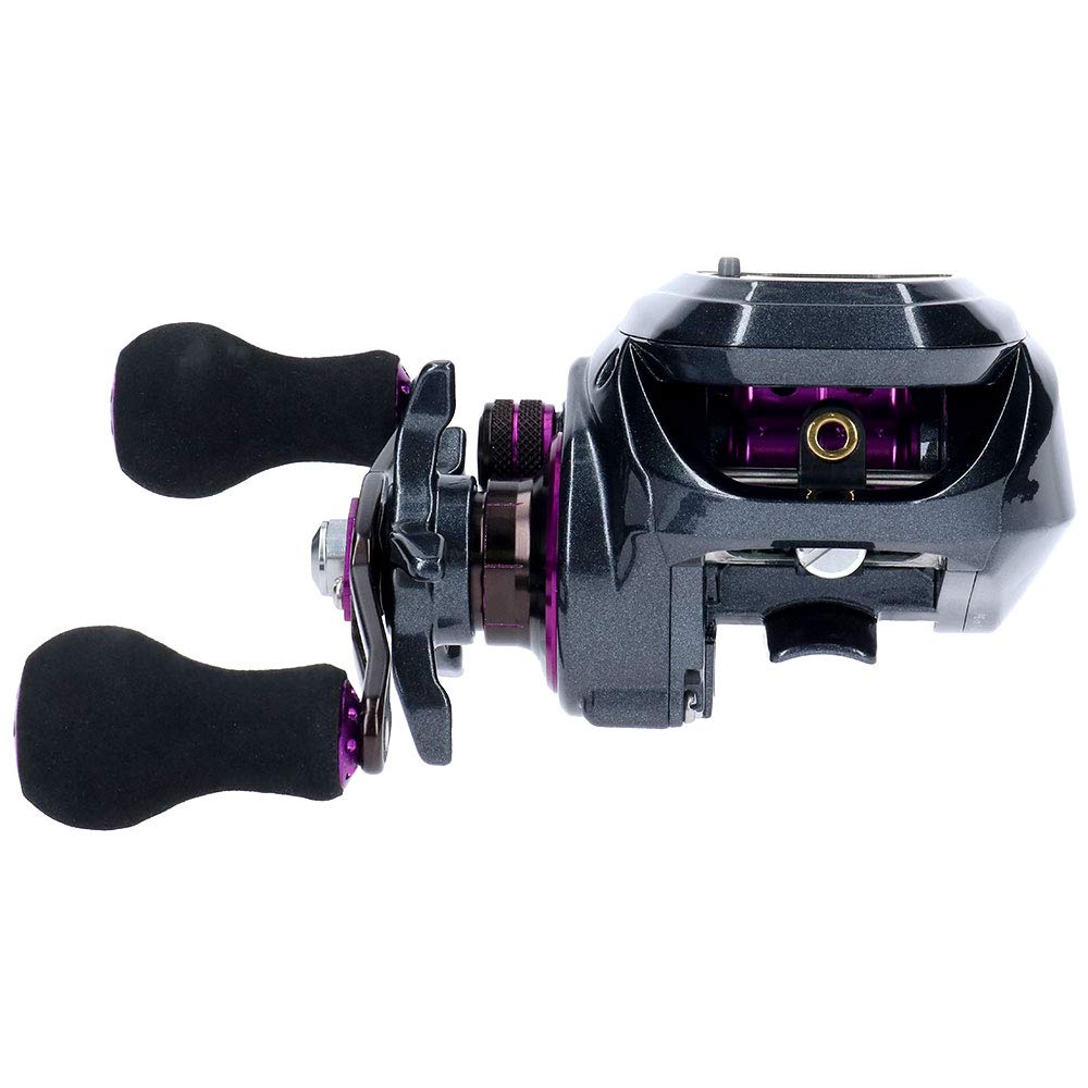 Daiwa LIGHT SW X IC R Counter Baitcasting Reel