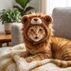 Skin Friendly Dog Plush Lion Hat Funny Cat Costume Headwear Pet Lion Mane Hat  Home Holiday
