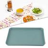Stable Environmentally Dining Bar Heat-Resistant Trays Flat