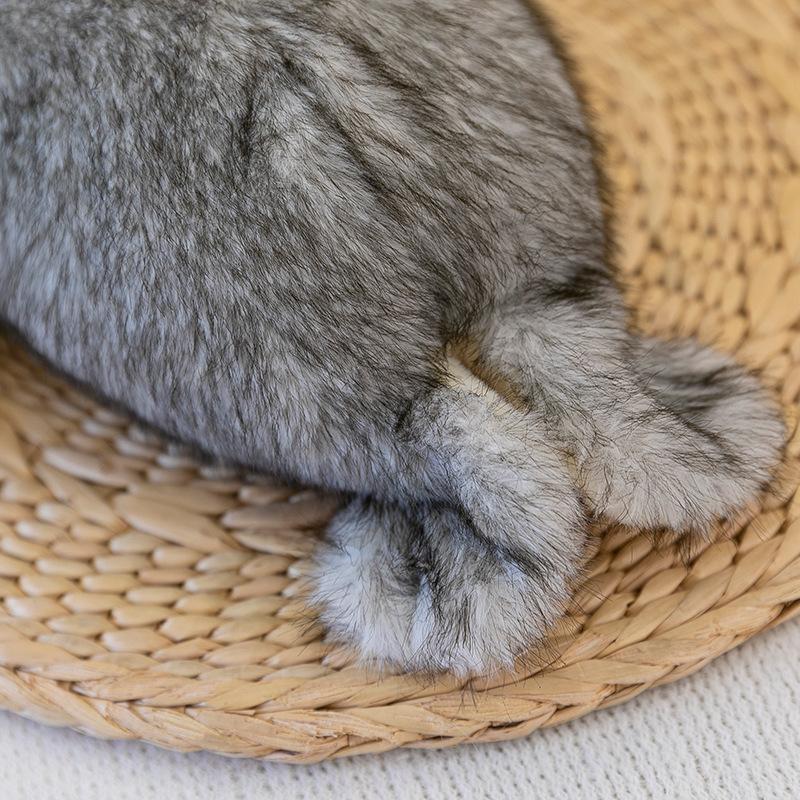 Милая игрушка-тюлень, имитация, зоопарк, милая игрушка-тюлень, детская плюшевая игрушка, игрушка для аквариума, подарок