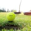 Titleist PRO V1 25 Желтый ДЗ