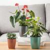 Цветочный горшок Хорошая прочность Самополивающийся Пластиковый Защита от влаги Большой Кашпо Бытовые принадлежности