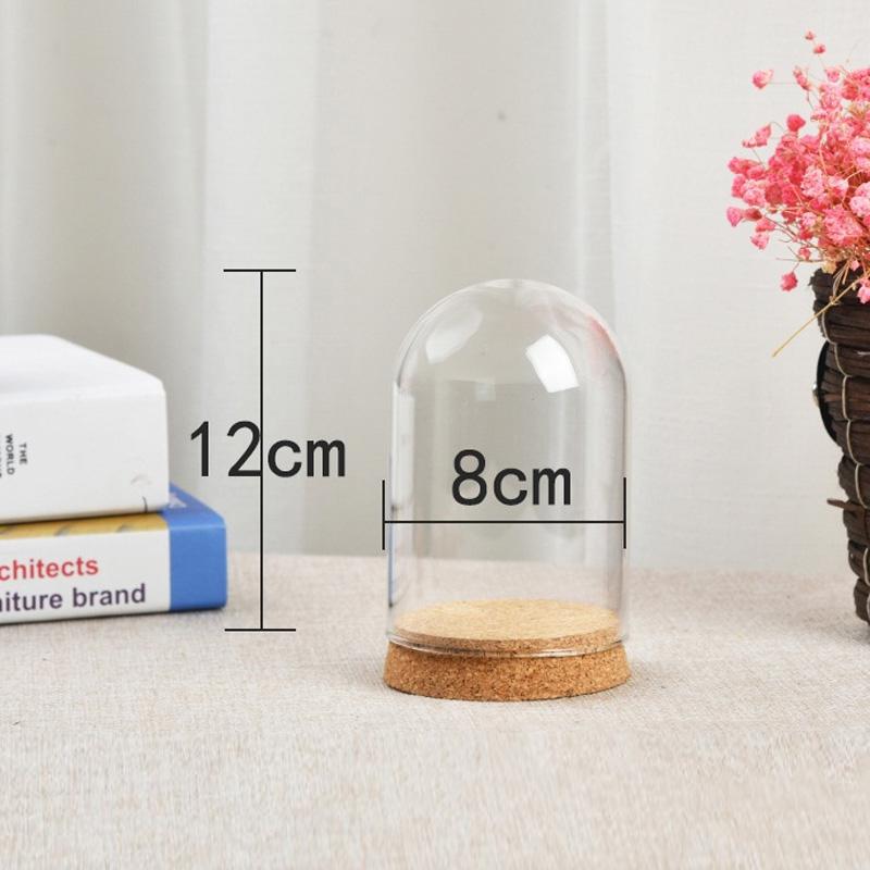 Glass Display Cloche Bell Jar Dome Flower Preservation Cover Wood Base DIY