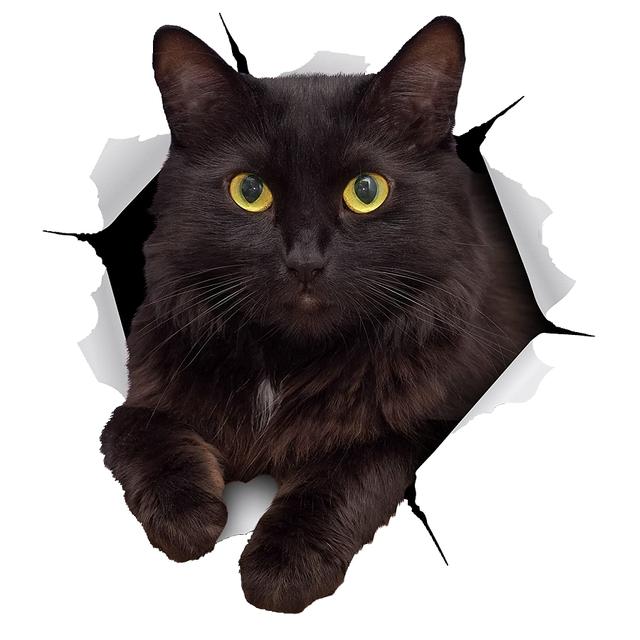 Black Cat Sticker On The Car Self-Adhesive Decal Waterproof Decoration Car Stickers