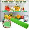 Sponge Mat Sponge Mat Moisture-proof Pad Refrigerator